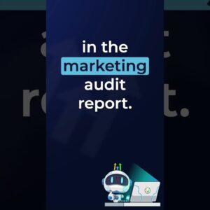 Prospecting Tool  Select and Reorder Marketing Audit Report Sections